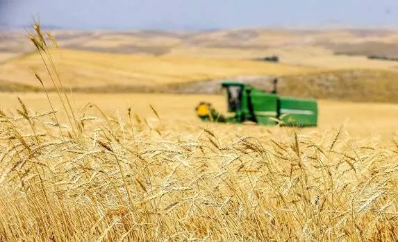 واریز ۷۳ همت دیگر از مطالبات گندم‌کاران/مجموع پرداختی به ۳۴۸ همت رسید