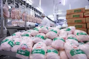 مازاد ۱۰ هزار تنی مرغ روی زمین ماند/ بازار در تله قیمت‌گذاری و توقف صادرات
