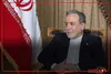 عراقچی: ایران برای همکاری بین‌المللی در حفاظت از محیط زیست آماده است