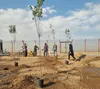کاشت ۲۰۰ اصله نهال در بوستان خلیج‌فارس مهرگان