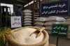 هجوم برنج وارداتی به بازار شمال/  زنگ خطر برای شالیزار‌ها