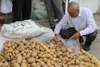 آغاز عرضه مستقیم سیب‌زمینی در روستا بازار های لرستان