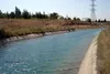 واگذاری توزیع آب کشاورزی به تشکل آببران در قزوین با موفقیت اجرا شد/ پیگیر تأمین سهم تابستانه آب استان هستیم