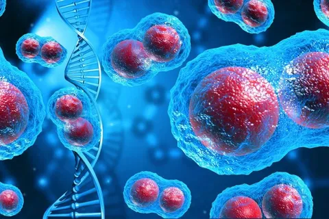 کشف نقطه‌ضعف DNA‌های سرگردان سرطان