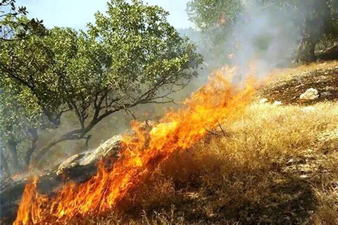 هشدار آتش‌نشانی تبریز نسبت به افزایش خطر آتش‌سوزی علف‌های هرز در فصل گرما