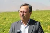 صیادی : صرفه‌جویی ۵۰ درصدی در مصرف آب با توسعه آبیاری نوین در مزارع لوبیای لرستان/ رتبه دوم تولید لوبیا در کشور در اختیار لرستان است