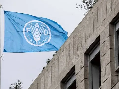 قیمت جهانی مواد غذایی به بالاترین سطح از نوامبر ۲۰۲۲ رسید