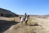 قُطب گردشگری راز و جرگلان شتاب می‌گیرد / بازدید مدیران استانی از پیست نیمه‌کاره اسب‌دوانی باغلق