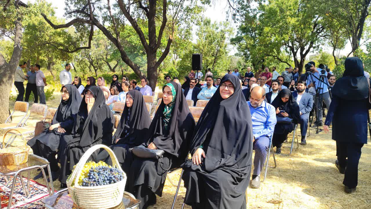باغستان قزوین تشنه تدبیر است/ سطح آب‌های زیرزمینی به ۱۰۰ متر رسیده است
