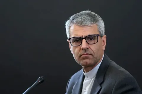 بقائی: یاد و نام امام خمینی(ره) در حافظه تاریخی ایران و جهان، بیش از هر زمانی زنده است