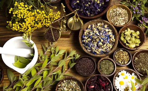 بررسی ظرفیت گیاهان دارویی در مدیریت زخم‌های سوختگی در شرایط بحران
