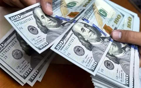 اعتماد مردم، شرط موفقیت صندوق‌های سرمایه‌گذاری ارزی/ این صندوق‌ها می‌توانند تقاضای خرید دلار را مدیریت کنند