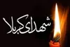 اسامی دقیق همه شهدای دشت کربلا + دسته بندی
