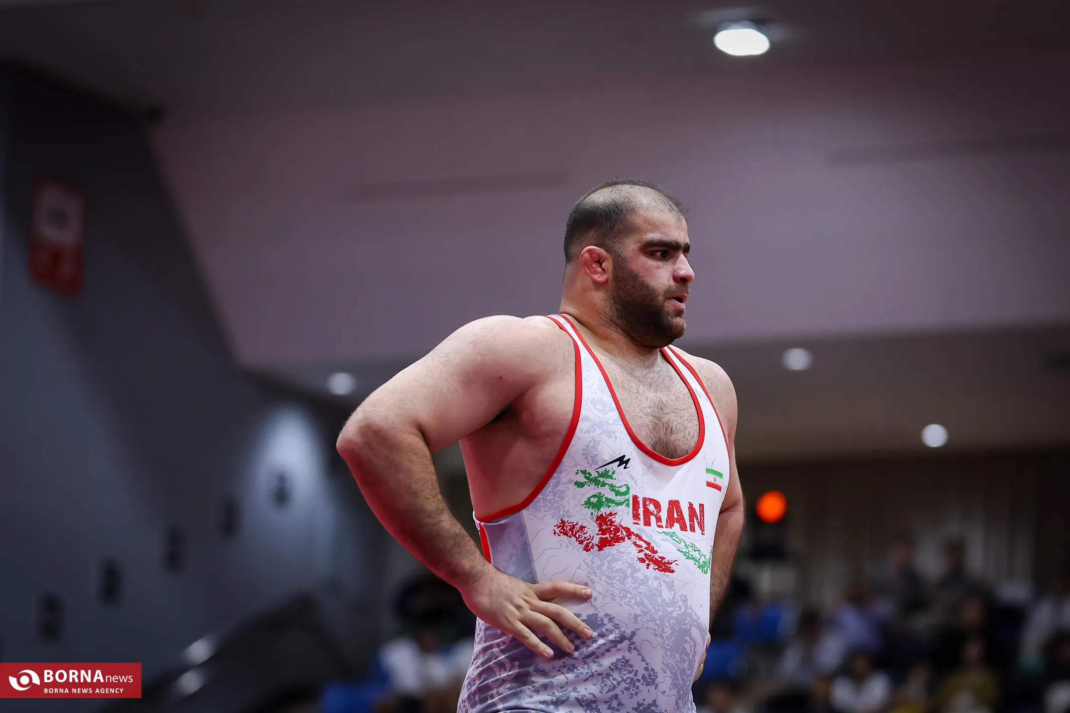 مدال طلای امین میرزازاده در کشتی / NOGOYA2026