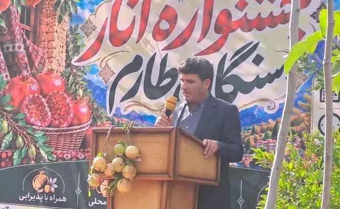 بخشدار طارم سفلی: مشکل اصلی روستاهای انارخیز «آب» است
