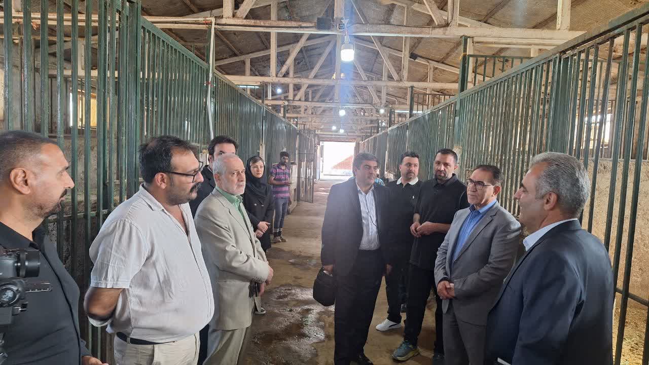 رئیس فدراسیون سوارکاری کشور به قزوین سفر کرد 