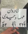 درگذشت مهسا وحیدی بلاگر معروف ایرانی