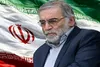 موساد از سال ۱۹۹۳ فعالیت‌های محسن فخری زاده را زیرنظر داشت