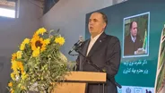 با بهره گیری از روش‌های نوین، تولید زیتون به ۱۵۰ هزار تن می‌رسد/ صادرات روغن زیتون را محقق می کنیم