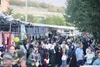 جشنواره گردوی کلور ظرفیت برگزاری چندروزه دارد؛ توسعه زیرساخت‌های گردشگری خلخال پیگیری می‌شود