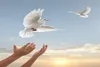 نذر نیمه‌تمام یک داماد، آزادی دو زندانی جرائم غیرعمد را رقم زد