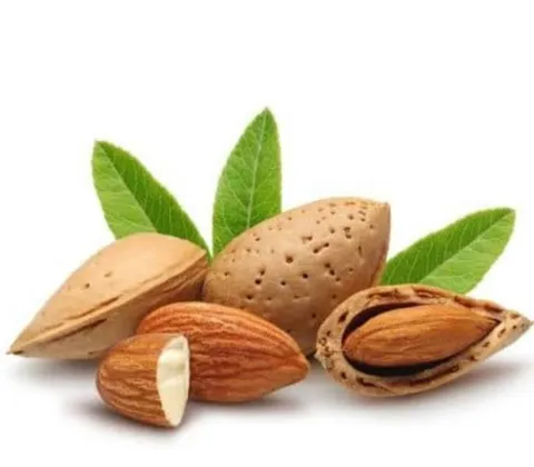 جشن عسل و بادام بیلوار فرصتی برای معرفی ظرفیت‌های گردشگری و تولیدی منطقه است