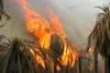 ۱۲۰ اصله نخل خرما در بخش بزمان طعمه حریق شد