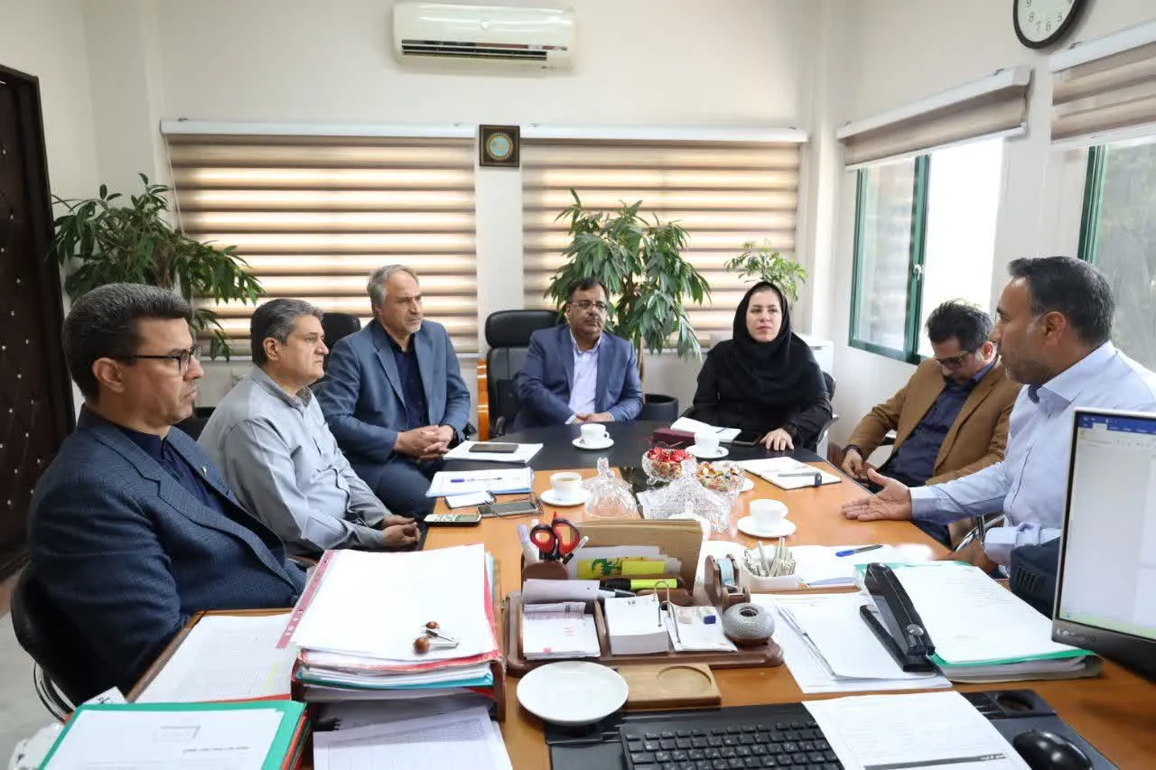 امیر زارعی امیر زارعی