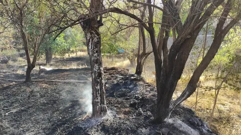 مهار کامل دو آتش‌سوزی در مناطق حفاظت‌شده غرب کشور