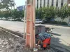 عملیات گسترده طعمه‌گذاری جانوران مضر در شهرقدس