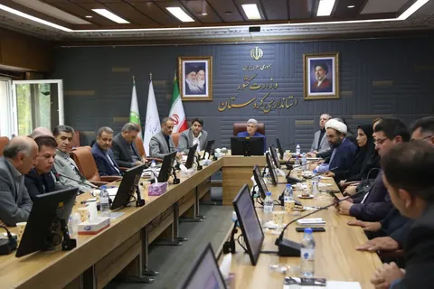 ضرورت هم‌افزایی دستگاه‌های اجرایی برای رفع موانع ازدواج جوانان