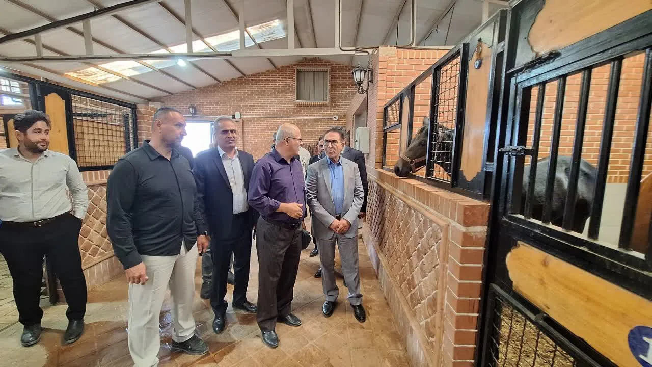 رئیس فدراسیون سوارکاری از چند باشگاه سوارکاری در استان قزوین بازدید کرد
