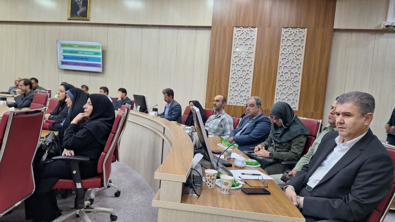 ۹۰ درصد سارقان قزوین معتاد هستند/ بیش از ۲۵ هزار پرونده برای ۱۰ جرم پرتکرار تشکیل شد