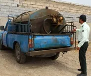 خودروهای متخلف سوخت‌گیری در جاسک زیر ذره‌بین؛ ۷ خودرو توقیف شد