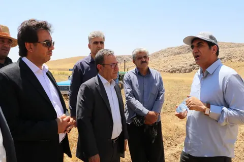 رتبه دوم لرستان در تولید نخود در کشور