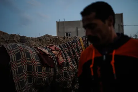 اسب ترکمن