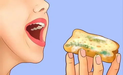 نقش کپک‌ها در افزایش وزن!