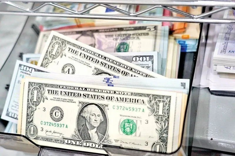 صندوق‌های ارزی برای مدیریت ریسک و نرخ ارز طراحی شدند/ توسعه این صندوق‌ها نیازمند رفع محدودیت‌هاست