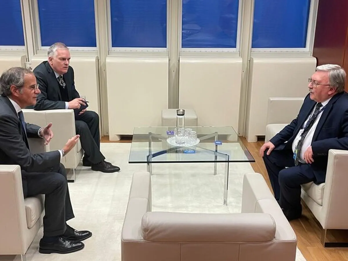 Ulyanov and Grossi Consult on Iran and Ukraine