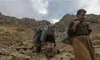 قانون تجارت مرزی، ساماندهی واردات کولبری و ملوانی