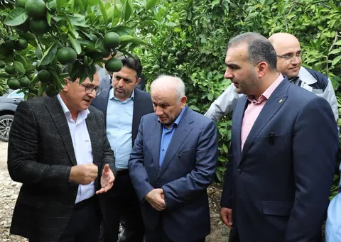 تأکید استاندار بر حرکت به سمت باغداری نوین با بهره‌گیری از دانش روز دنیا برای افزایش تولید و بهره‌وری