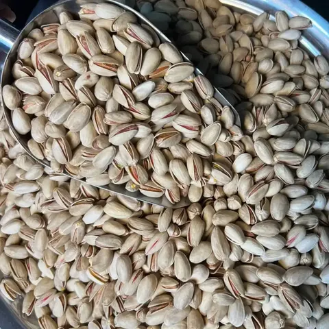 پیش‌بینی تولید ۲۴۰ هزار تن پسته خشک