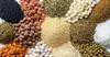 تأکید مدیر شیلات قزوین بر ارتقای کیفیت و تأمین پایدار خوراک آبزیان