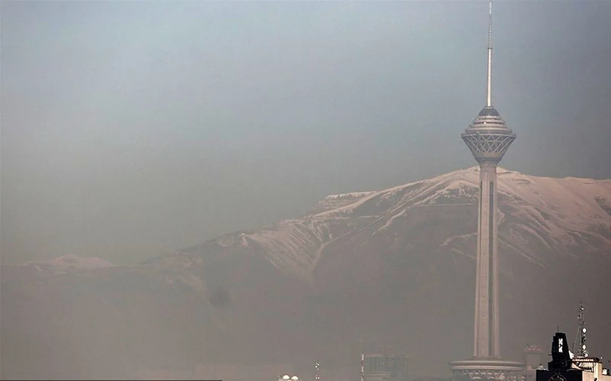 اعتراض شدید تشکری هاشمی به عدم مدیریت در زمینه آلودگی هوا/ مدیریت پسماند خجالت آور است