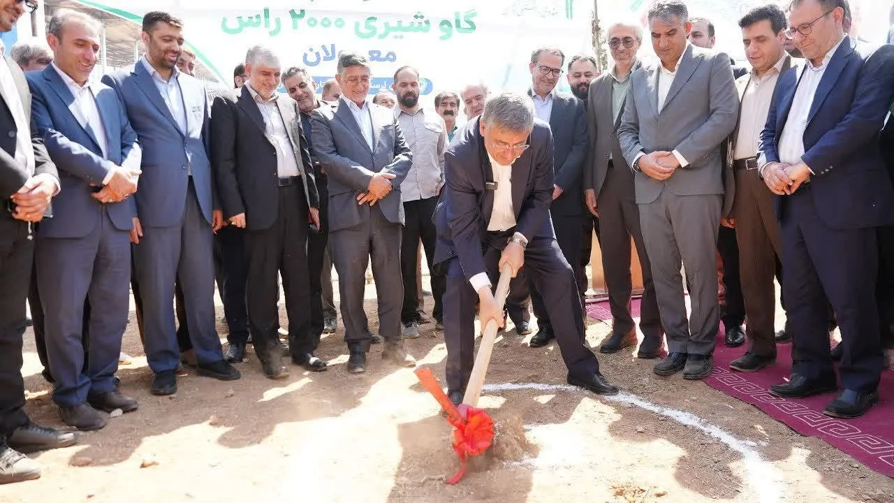 استاندار لرستان پای کار تحقق وعده‌های سفر رئیس‌جمهور/ گاوداری ۲هزار رأسی معمولان کلنگ‌زنی شد