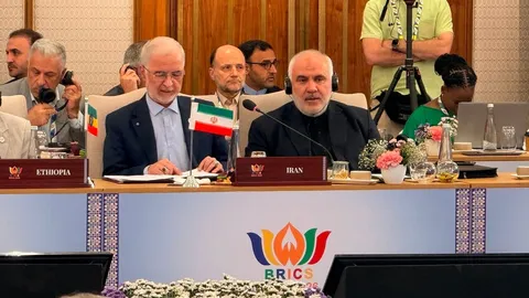 وزیر کشور: بریکس تجاوز به کشورها و حمله به غیرنظامیان را محکوم کند