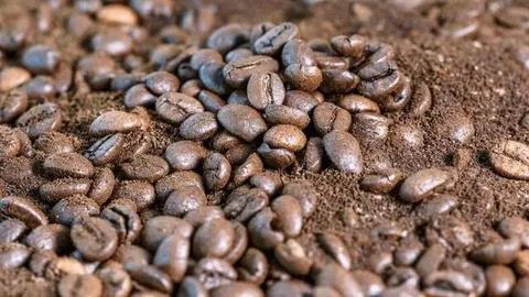 کشف ۴۹۰ تُن قهوه قاچاق در ورامین