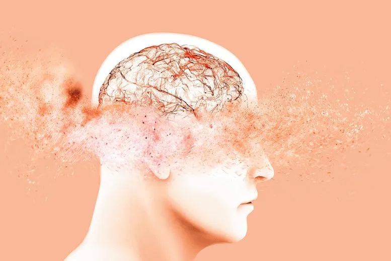 همزمانی پنهان دو بیماری مغزی؛ سرنخ‌های جدید از ترکیب آلزایمر و یک اختلال کمتر شناخته‌شده کشف شد