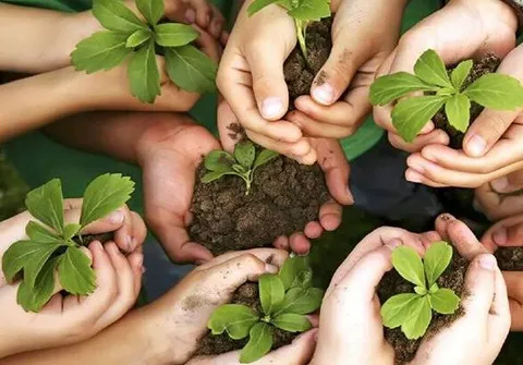 ۵۴۷ هزار «همیار طبیعت» برای حفاظت از منابع طبیعی ساماندهی شدند