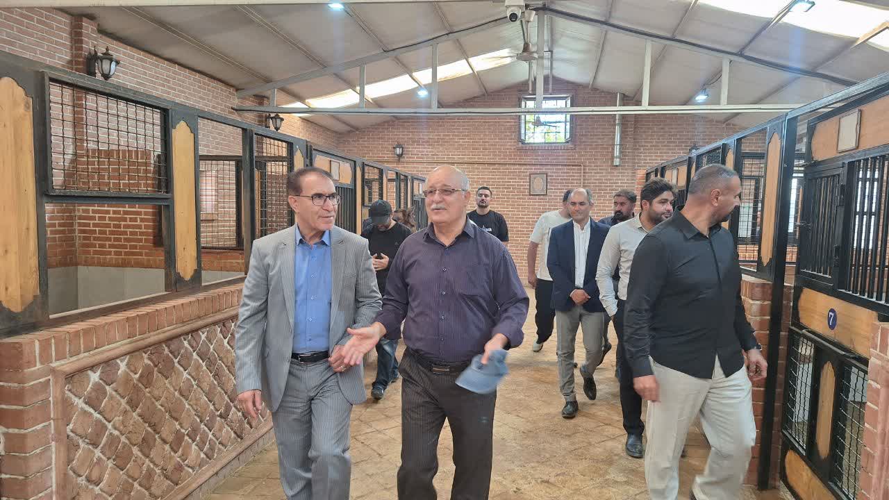 توسعه متوازن رشته‌های سوارکاری در اولویت برنامه های فدراسیون است